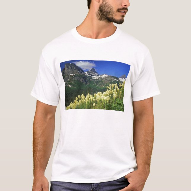 Camiseta Bearcapi na Passagem de Logan no Parque Nacional d (Frente)