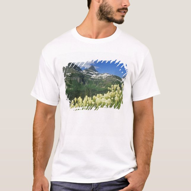 Camiseta Bearcapi perto do Logan Pass na Gacier National (Frente)