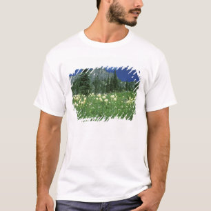 Camiseta Beargrass no lago Eunice, Mt. Rainier NP, WA,