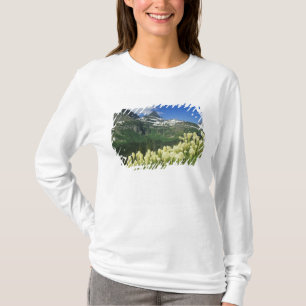 Camiseta Beargrass perto de Logan Pass no Parque Nacional G