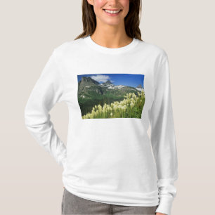 Camiseta Beargrass perto de Logan Pass no Parque Nacional G