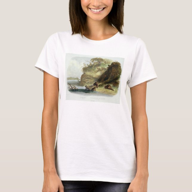 Camiseta Beaver Hut no Missouri, placa 17 do volume 1 (Frente)