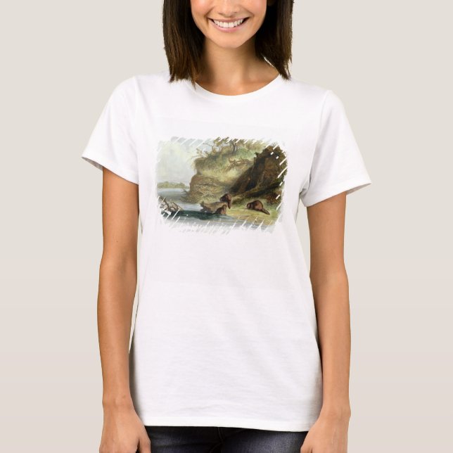 Camiseta Beaver Hut no Missouri, placa 17 do volume 1 (Frente)