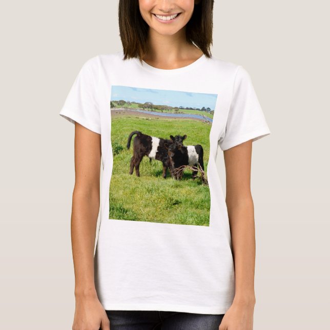 Camiseta Bebê Belado Vacas Galloway No País, (Frente)
