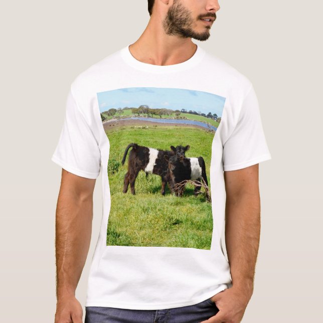 Camiseta Bebê Belado Vacas Galloway No País, (Frente)