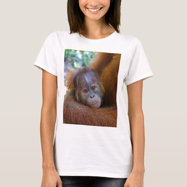 Camiseta Bebê bonito Orangutan (Frente)
