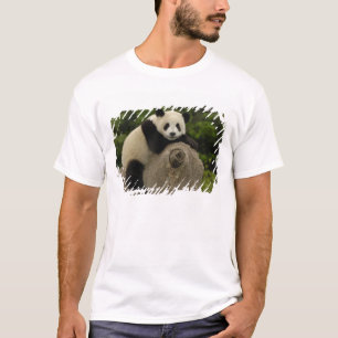 Camiseta bebê de panda gigante