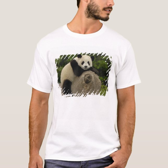 Camiseta bebê de panda gigante (Frente)