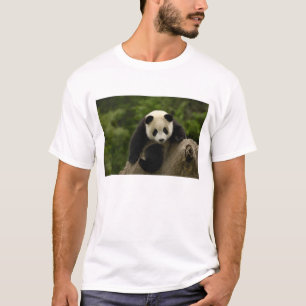 Camiseta Bebê de panda gigante