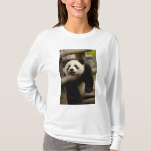 Camiseta bebê de panda gigante (Ailuropoda melanoleuca)