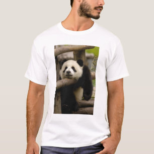 Camiseta Bebê de panda gigante (Ailuropoda melanoleuca)