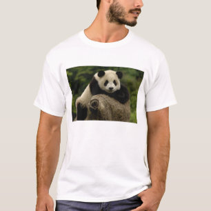Camiseta Bebê de panda-gigante Ailuropoda melanoleuca)