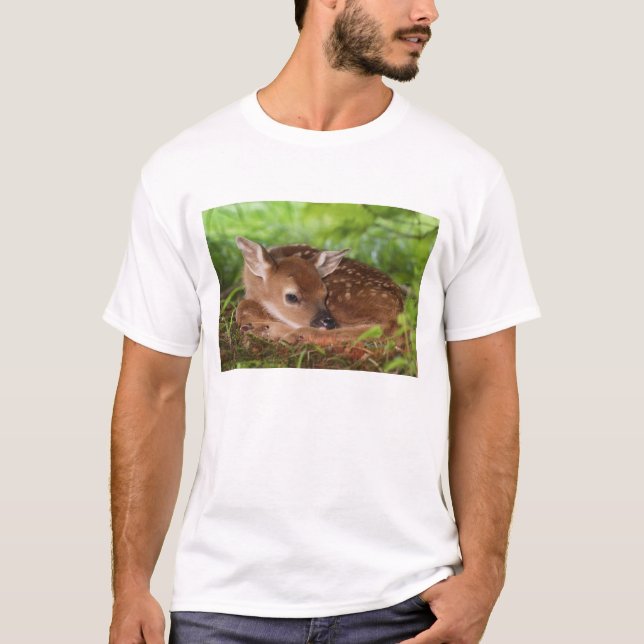 Camiseta Bebê Deer de dois dias de cauda branca, Kentucky. (Frente)