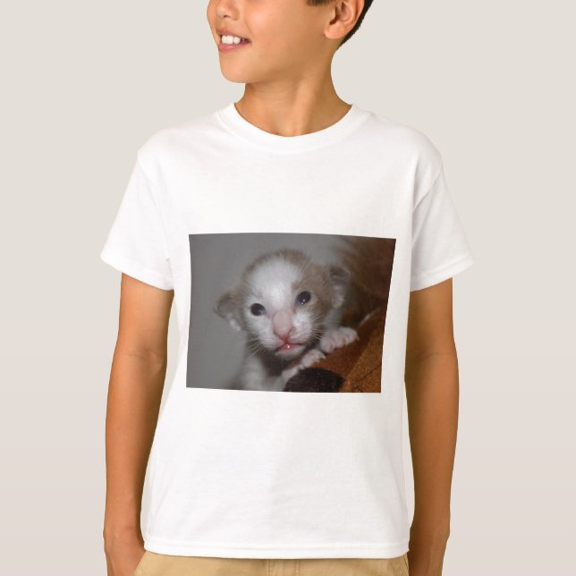 Camiseta Bebê gatinho ridiculamente fofo (Frente)