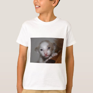 Camiseta Bebé gatinho ridiculamente giro