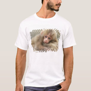 Camiseta Bebê Macaco da Neve, Jigokudani, Nagano, Japão 2