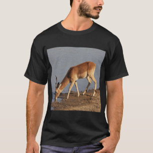 Camiseta Bebendo de Impala antílope na foto da abertura
