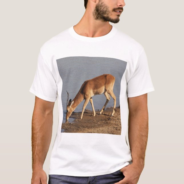Camiseta Bebendo de Impala antílope na foto da abertura (Frente)