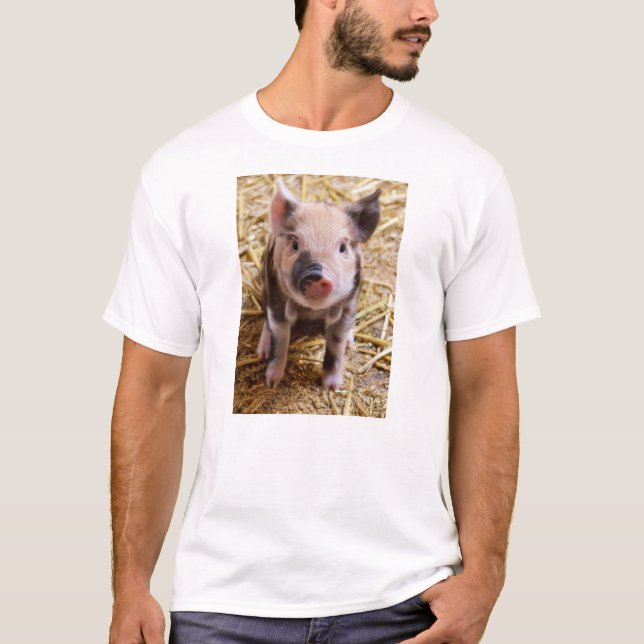 Camiseta Bebês bonitos do Barnyard dos animais de fazenda (Frente)