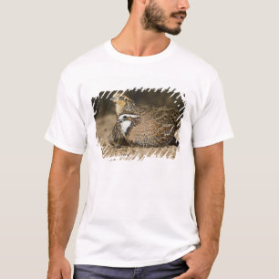 Camiseta bebês de codorna Northern Bobwhite no lago para be
