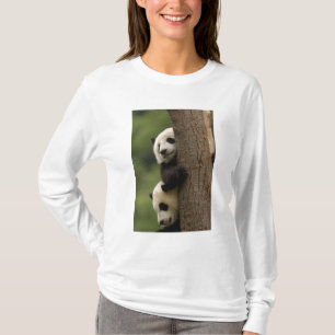 Camiseta bebês de panda gigante (Ailuropoda melanoleuca)