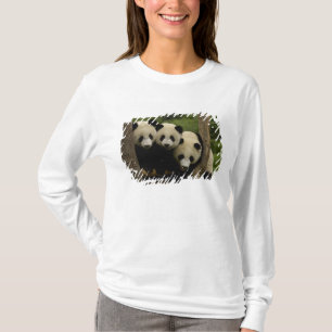 Camiseta bebês de panda gigante (Ailuropoda melanoleuca)