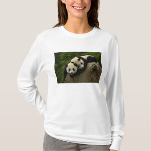 Camiseta bebês de panda gigante (Ailuropoda melanoleuca)