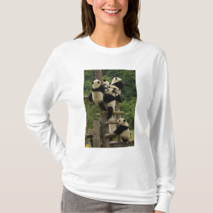 Camiseta bebês de panda gigante (Ailuropoda melanoleuca)