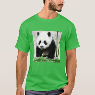Camiseta Bebês Mais Pobres   Bebê-Panda