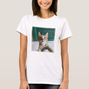 Camiseta Bebês Mais Pobres Cute Tabby Kitten