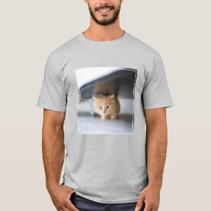 Camiseta Bebês Mais Pobres Fluffy Orange Kitten