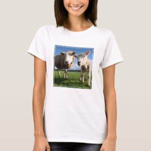 Camiseta Bebês Mais Pobres Lamb e mamãe recém-nascidos