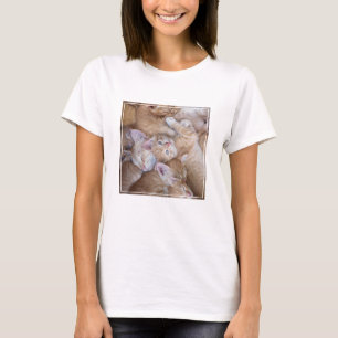 Camiseta Bebês Mais Pobres   Película De Gato Laranja