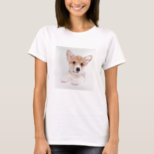 Camiseta Bebês Mais Pobres   Sweet Baby Corgi