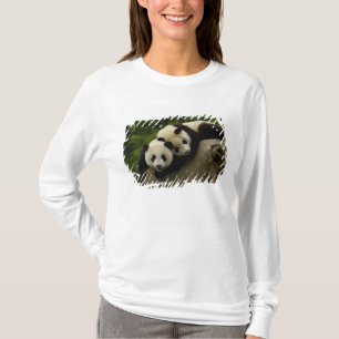 Camiseta Bebês panda gigantes Ailuropoda melanoleuca)