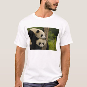 Camiseta Bebês panda gigantes Ailuropoda melanoleuca)