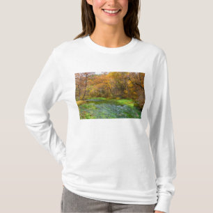 Camiseta Beco de água de outono