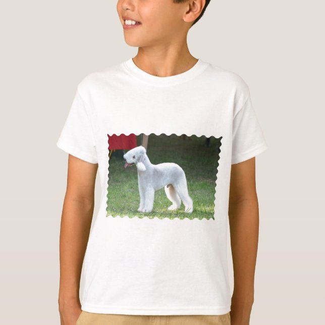 Camiseta Bedlington Terrier bonito (Frente)