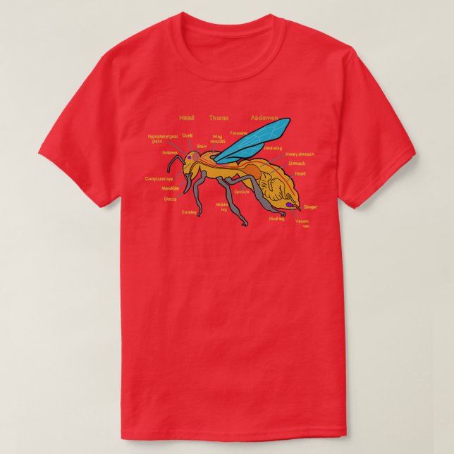 Camiseta Bee Anatomy Bees Bee Biology Anatomy of a Bee 1 (Frente do Design)