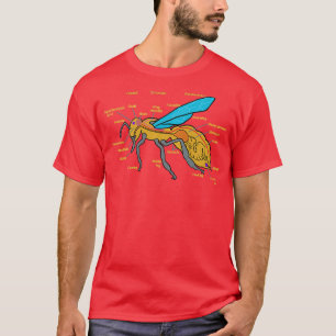 Camiseta Bee Anatomy Bees Bee Biology Anatomy of a Bee 1