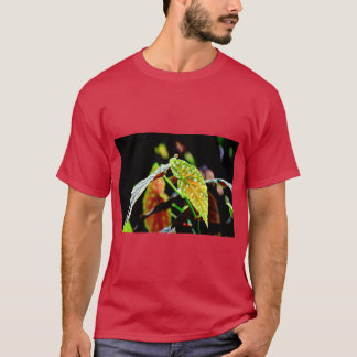 Camiseta Begônia Angel Wing Botânica