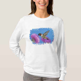 Camiseta Beija-flor-de-garganta-rubí