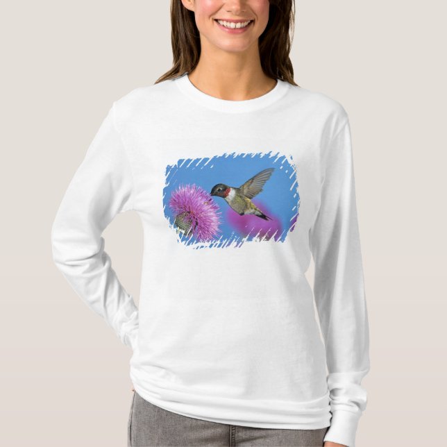 Camiseta Beija-flor-de-garganta-rubí (Frente)