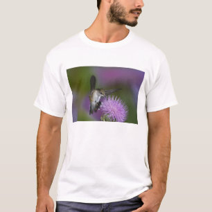 Camiseta Beija-flor-de-garganta-rubi em voo com este carunc