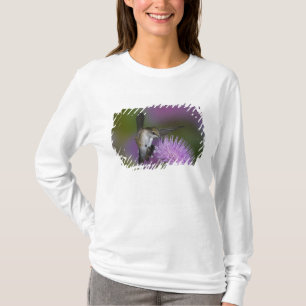 Camiseta Beija-flor-de-garganta-rubi em voo no cardo