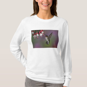Camiseta Beija-flor-de-garganta-rubí-macho, Archilochus