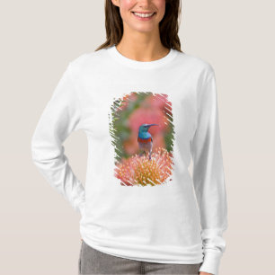 Camiseta Beija-flor-de-peito-escamoso