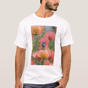 Camiseta Beija-flor-de-peito-escamoso