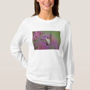 Camiseta Beija-flor-macho juvenil de garganta rubi