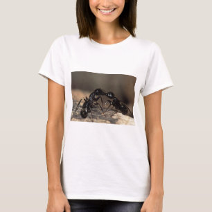 Camiseta beijo das formigas